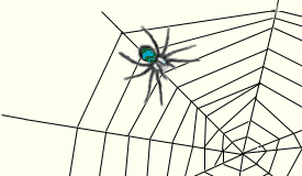 Spider 1